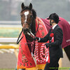 150208東京競馬場＜東京新聞杯＞