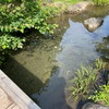 伊豆半島の旅③