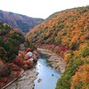 今週のお題・「紅葉」🍁