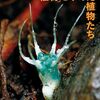 2026年度大学入試共通テスト　生物基礎　所感