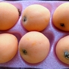 ある意味「ご馳走」です