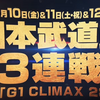 G1クライマックス開催ということで、15年前の新日本の日本武道館大会を振り返る