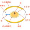 ハッピーイースター！！🌸～卵を科学する～