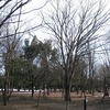 府中の森公園（東京都府中市）