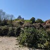 姫路城周辺の樹木剪定と巨大化するごみ山 Tree pruning around Himeji Castle and a huge branches mountain