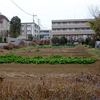 勝俣部長の「ため息」５０３５回････納得の年齢域