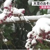 ２５日は２４日よりも寒さ和らぐ【熊本】
