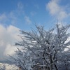 雪景色とかここ1週間で食べたものとか。