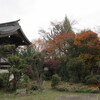 秋川渓谷「阿伎留～城山～石舟橋」紅葉狩り（４）光厳寺でお昼を食べて城山へ。