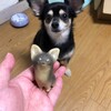 まろにー1824日目