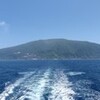 【ネイチャー】ミナミハンドウイルカの親子