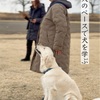 犬のペースで犬を学ぶ