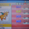 すごいよ！！ワタルさん