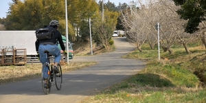 茨城県をロードバイクでゆるポタリング「いちご狩り」＆「夕焼け筑波山」を楽しもう！