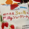 不二家　栃木県産3種類のいちご＆ミルキーシュークリームだよ