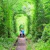 旅史上1番困った帰り道〜愛のトンネル〜