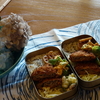 5月19日のお弁当