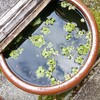 冬も脱水症状が起こり得る？
