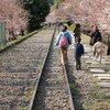 京都旅行記　その３