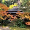 悲いい恋の物語・滝口寺