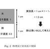 線量計算アルゴリズムの高精度化とMU独立検証