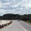 ボルネオ一人旅　６　Borneo Nature Lodge