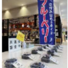 「農畜産物共進会 生産物ブルーベリーの部」開催！(2025/6/22)