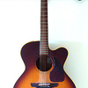 Takamine NTP012-BS