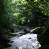 Nature snap #67