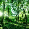 【未曾有の大雨・土砂災害】呉市の物件やいかに、、、