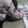 今日の五行歌592～この一年