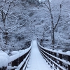 雪の花貫渓谷