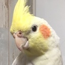 minachaaanの日記