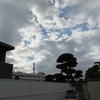 （巻四十三）親といふ夫婦見ている網戸かな(西やすのり)