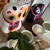 2025　福猫便り　　　３