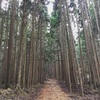 篠山「ささやまの森公園」
