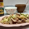 【KNKスタミナ源たれ使い切りチャレンジ1日目】シンプル豚肉野菜炒め