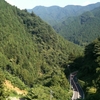 甲武トンネル サイクリング