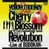 THE YELLOW MONKEYのDVDを総まくる！その３CHERRY BLOSSOM REVOLUTION -Live at BUDOKAN-