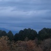 今朝の景色