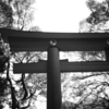 TORII