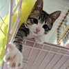 もれなく“ジジイ”が付いてくる (￣Д￣;)