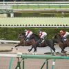 【2020年度新種牡馬 2歳リーディング】1位～5位をデータで分析