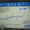 玉川上水・野火止用水分岐地点（東京都小平市）