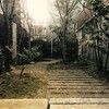 犬鬼灯