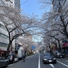 アジアな空間　その２０８９　雨が降る前の桜パト　中野駅北口方面　の巻