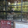 動物園②・私の楽しみ方🖊️