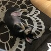 まろにー1107日目