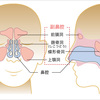 高音を出すためには必須！？最強の技、鼻腔共鳴を身につけよう。