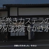 1748食目「紙巻きカステラの然花抄院でかき氷」京都に行きました。その12